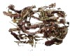 微信小程序开发公司